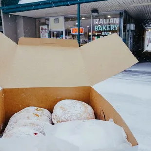 Paczkis
