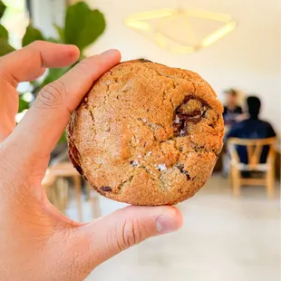 Chocolate Chip Walnut