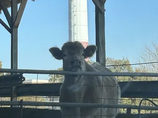 The Oaks Veterinary Clinic Equine & Farm Services