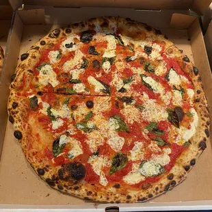 Margherita