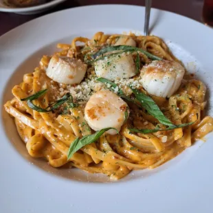 Scallop fettucini