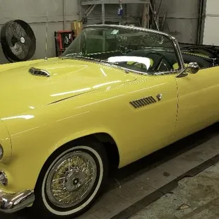 1955 T-Bird