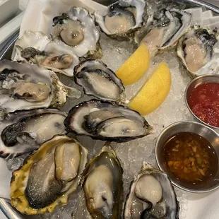 Delicious Fresh Oysters