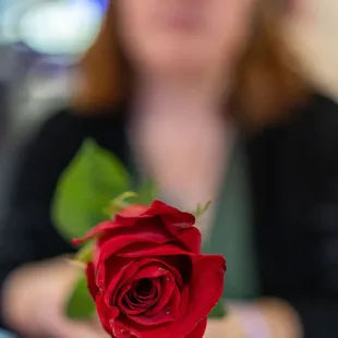 Complimentary V-Day Rose ($0)