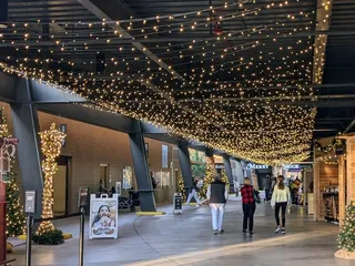 Holiday Light Experience at Salt River Fields 