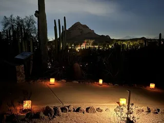 Las Noches de Las Luminarias