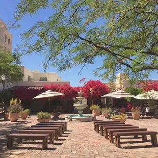 Love the use of benches for this outdoor ceremony at the Pavillion at Pinnacle Peak.