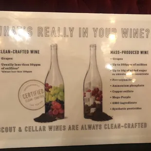 Scout &amp; Cellar Wines: