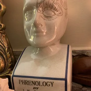 Phrenology head