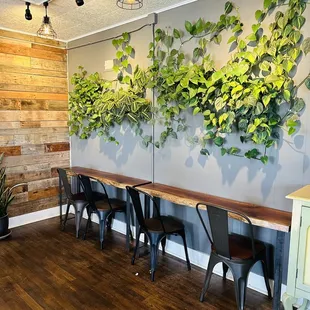 a wall of ivys on the wall