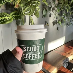 Scout coffee in Blue Springs