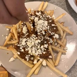 a plate of french fries topped with gravy