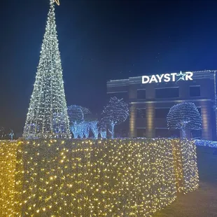 a lighted christmas tree