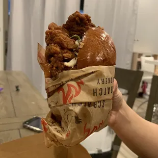 Look at the size of this