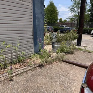 The front corner of the restaurant from the parking lot- such lovely flowers!