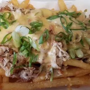 Pork Belly Queso Fries