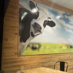 Pic from when we sat outside looking in.