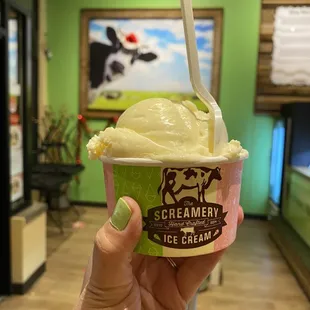 a hand holding a cup of ice cream
