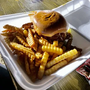 Louisiana hot chicken w/ fries