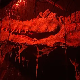 Dragon!!