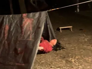 Forest of Fear
