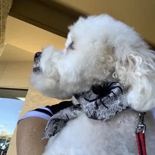 After grooming