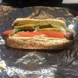 sandwich, food, hot dog, hot dogs