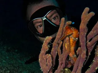 The Scuba Dudes Diveshop