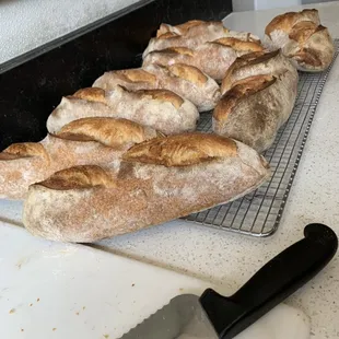 Home made Bread