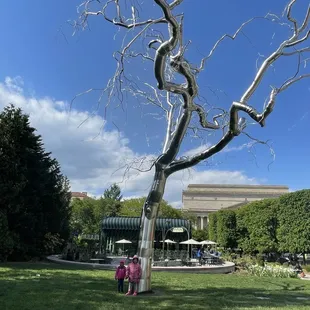 a woman standing in front of a tree