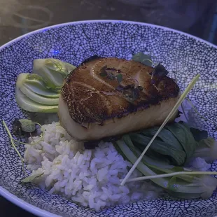 Miso Sea Bass