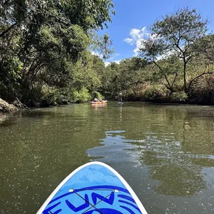 River, paddle board