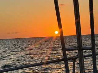 Iruka Hawaii Dolphin