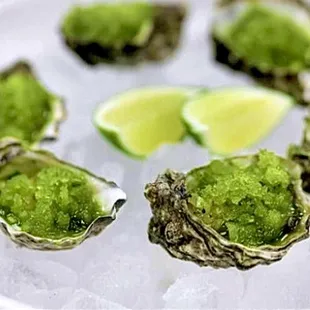 Oysters with cucumber mignonette