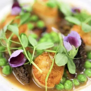 Hokkaido Scallops with english peas and morels mushrooms