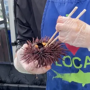 Can't get any fresher