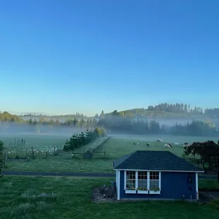 a foggy morning in the country