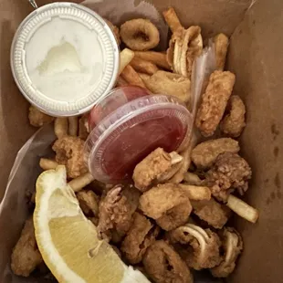 Calamari and fries