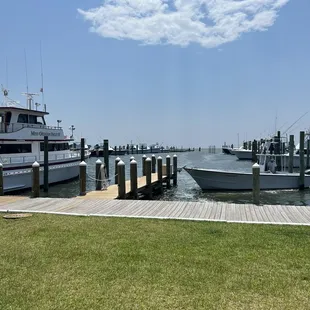 View of the boats