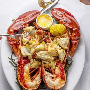 Stuffed lobster