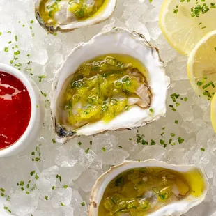Oysters