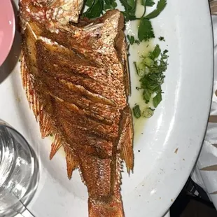 a whole fish on a white plate