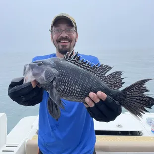 Sea bass