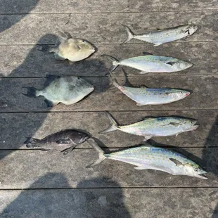 Mixed bag