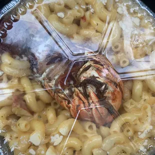 pasta dish, pasta, food