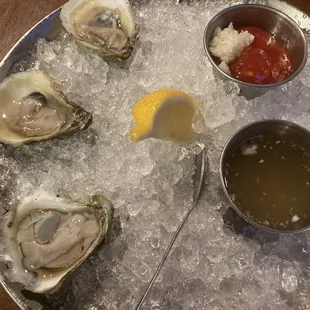 House Oysters