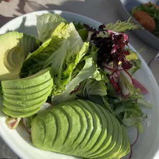 Avocado Salad