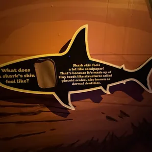 Shark fact