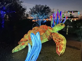 Zoolights