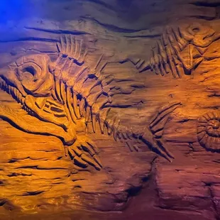Fossil wall